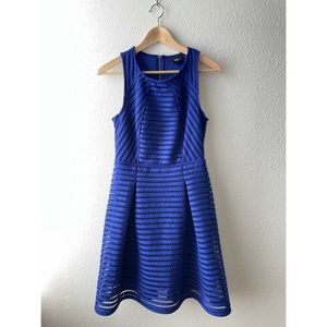 Navy Dress